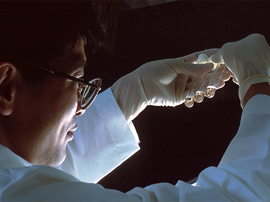 A scientist examines three test tubes containing T-lymphocyte cells, comparing healthy cells, HIV-infected cells, and HIV-exposed cells protected by azidothymidine (AZT), the first medication approved by the FDA to treat HIV and AIDS.